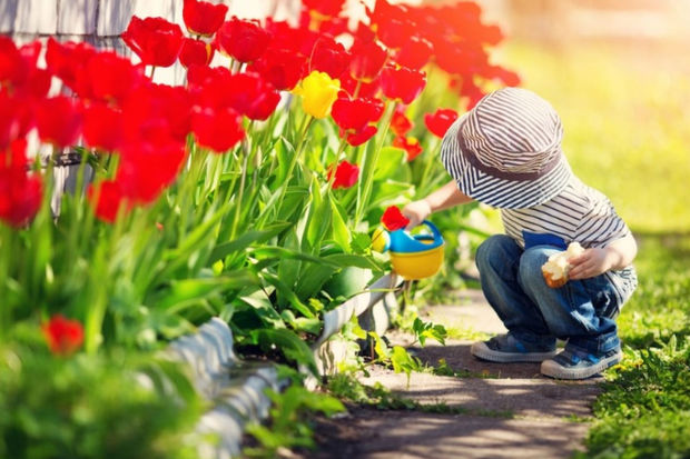 Azərbaycana bahar gəldi